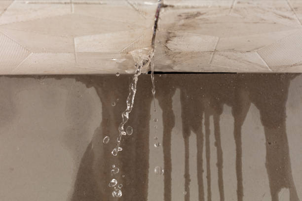 Professional Commercial Water Damage Restoration technician working in Woodville, TX
